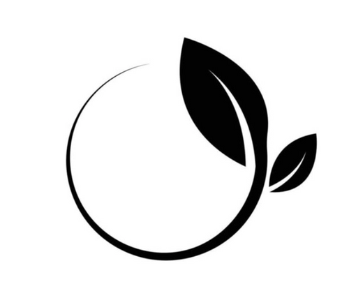 ElevaYoga